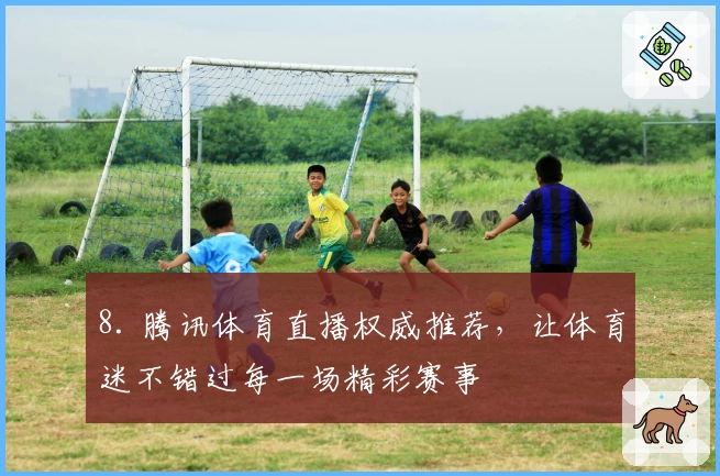 8. 腾讯体育直播权威推荐，让体育迷不错过每一场精彩赛事